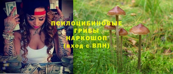 прущие крисы Хадыженск