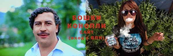 не бодяженный Чекалин