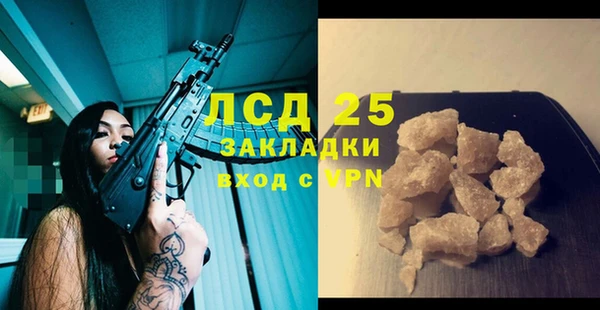гашик Аркадак