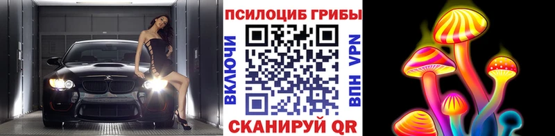 цена наркотик  Александровск  Псилоцибиновые грибы MAGIC MUSHROOMS 